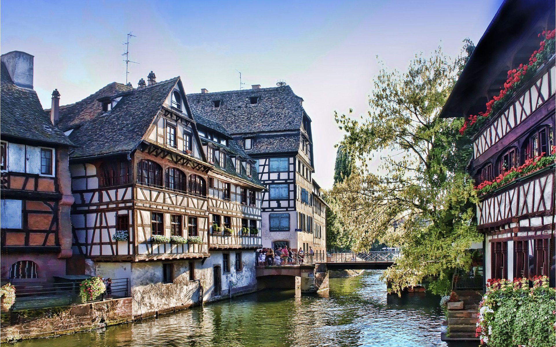 Meublé La Cigogne dorée